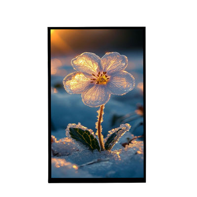 10.1인치 초상화 화면 IPS 800x1280 해상도 Tft LCD 디스플레이 자동차용