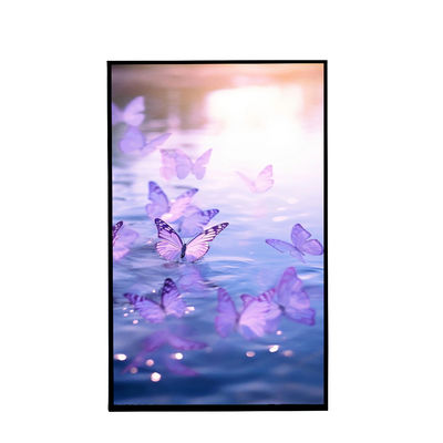 800×1280 해상도 10.1인치 초상화 TFT LCD 디스플레이