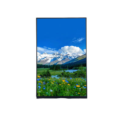 초상화 10.1 인치 FHD TFT LCD 모듈 T-con 보드 IPS 뷰 앵글 및 해상도 1200*RGB*1920